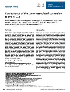 Consequence of the tumorassociated conversion to cyclin D1b