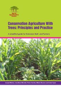 Conservation Agriculture With Trees - World Agroforestry Centre