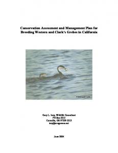 Conservation Assessment and Management Plan for ... - DARRP