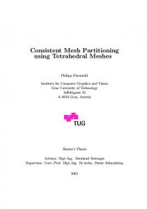 Consistent Mesh Partitioning using Tetrahedral Meshes - Studierstube