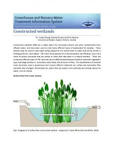 Constructed wetlands