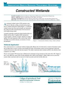 Constructed Wetlands