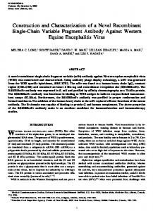 Construction and Characterization of a Novel Recombinant Single ...