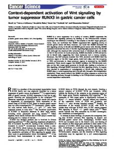 Contextdependent activation of Wnt signaling by ... - Wiley Online Library