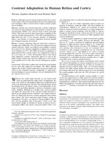 Contrast Adaptation in Human Retina and Cortex - Semantic Scholar