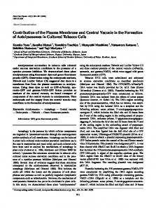 Contribution of the Plasma Membrane and Central Vacuole in the