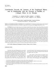 Contribution Towards the Anatomy of the Esophageal Hiatus ... - SciELO