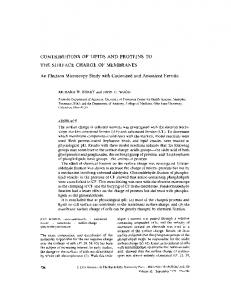 CONTRIBUTIONS OF LIPIDS AND PROTEINS TO THE SURFACE ...