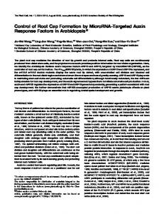 Control of Root Cap Formation by MicroRNA-Targeted Auxin ...