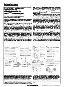 Control of the SCF ubiquitin ligase by the APC/C ubiquitin ligase