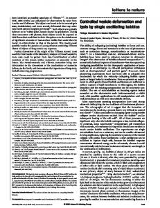 Controlled vesicle deformation and lysis by single oscillating bubbles