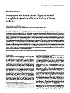 Convergence and Interaction of Hippocampal and Amygdalar ...