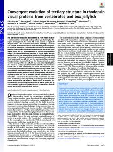 Convergent evolution of tertiary structure in rhodopsin