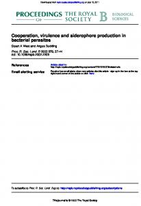 Cooperation, virulence and siderophore production in