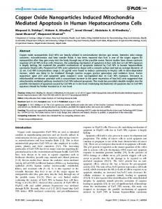 Copper Oxide Nanoparticles Induced Mitochondria