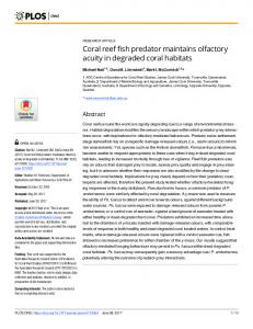 Coral reef fish predator maintains olfactory acuity