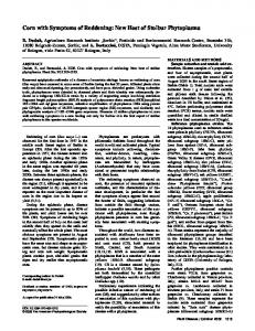 Corn with Symptoms of Reddening: New Host of Stolbur Phytoplasma