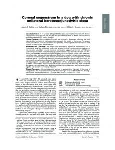 Corneal sequestrum in a dog with chronic unilateral ... - AVMA Journals