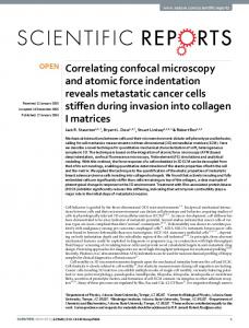 Correlating confocal microscopy and atomic force ... - Semantic Scholar