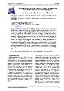 corrosion investigation of stainless steel in chloride media co - ABPG