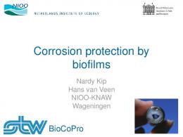 Corrosion protection by biofilms - NBIC