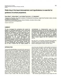 Cortical projections in Nkx2-1 mutants - Development - The Company ...