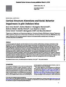 Cortical Structure Alterations and Social Behavior