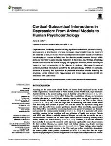 Cortical-Subcortical Interactions in Depression: From ... - Brain Imaging