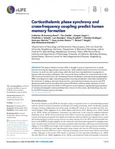 Corticothalamic phase synchrony and cross ... - Semantic Scholar