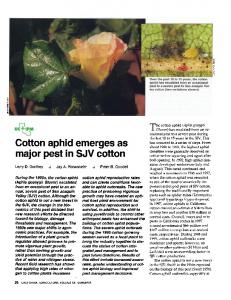 Cotton aphid emerges as major pest in SJV cotton - CiteSeerX