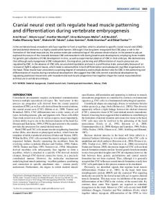 Cranial neural crest cells regulate head muscle ... - Development
