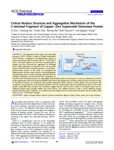 Critical Nucleus Structure and Aggregation ... - ACS Publications