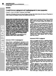 Crosstalk between angiogenesis and lymphangiogenesis in tumor ...