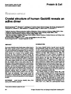 Crystal structure of human Gadd45 reveals an active dimer ...