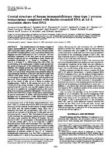 Crystal structure of human immunodeficiency virus type 1 reverse ...