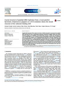 Crystal structure of peptidyl-tRNA hydrolase from a Gram ... - Core