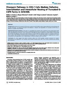 CSFR Forms in SCN - PLOS