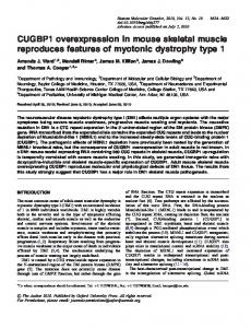 CUGBP1 overexpression in mouse skeletal ... - Semantic Scholar