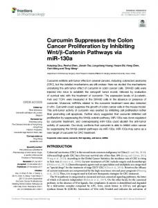 Curcumin Suppresses the Colon Cancer