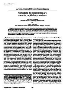 Curvature discontinuities are cues for rapid shape