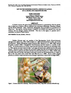 Cuscuta, Convolvulaceae - Phytoneuron