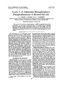 Cyclic 3', 5'-Adenosine Monophosphate Phosphodiesterase of ...