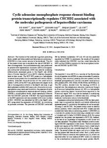 Cyclic adenosine monophosphate response ... - Semantic Scholar