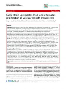 Cyclic strain upregulates VEGF and attenuates ... - CiteSeerX