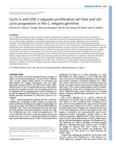 Cyclin E and CDK-2 regulate proliferative cell fate and cell cycle ...