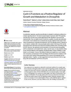 Cyclin G Functions as a Positive Regulator of Growth and ... - PLOS