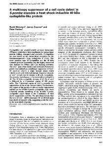 cyclophilin-like protein - NCBI