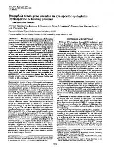 (cyclosporine A binding protein)