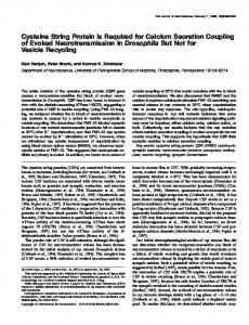 Cysteine String Protein Is Required for Calcium