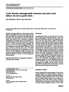 Cystic fibrosis, aminoglycoside treatment and acute ... - Springer Link